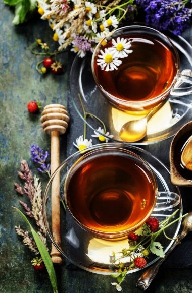 Чай здоровья и долголетия А.Т. Болотова