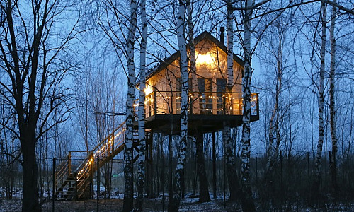 Дом на дереве «Лапочкино гнездо» фото