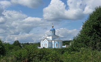 Свято-Иоанно-Богословский храм с. Протасово