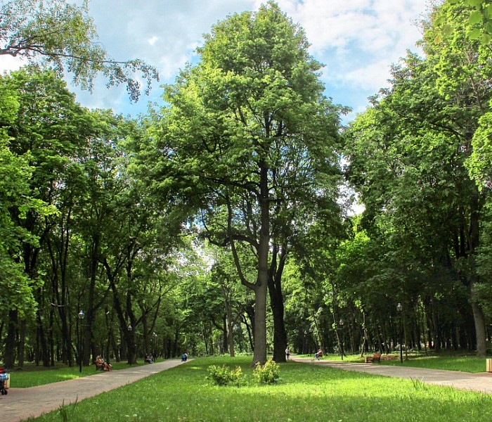 Рогожинский парк фото 2