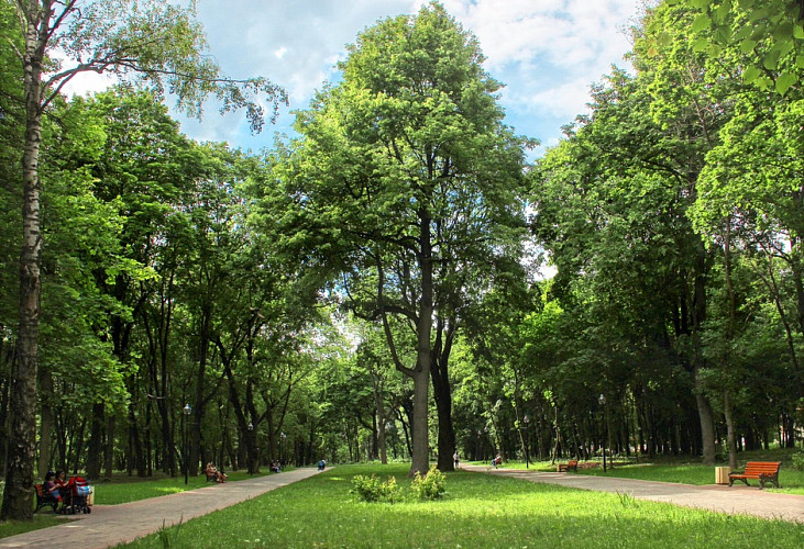 Рогожинский парк фото 2